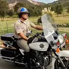 therealitalianponch