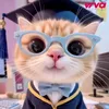 kittyshita