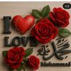 user1096134613120