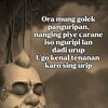 phina1525