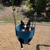 itsquincytheboston