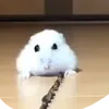 pufferfish_695