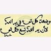 sherinshaban576
