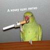 iholodec_