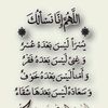 fatmaali59425