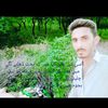 rajahamid292