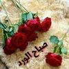 wwwta0