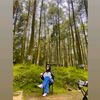 maezurra.allura.g