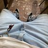 __vxlengs