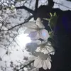 dy5jn3d790ff