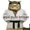 dambg_79