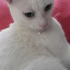 marialysa8