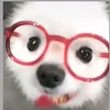 sharkie_65