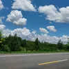 kim_cuong1499