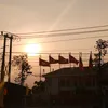 phuonglinhh24010