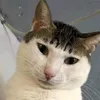userpcfb0p4jj5
