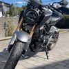mhbakken09