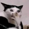usergsa6jtshpx