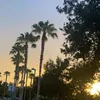 annalise__10