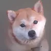 vietlinh0706