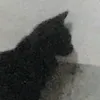 nththuhien_