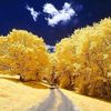 user1509061855804