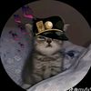 wasita_2121