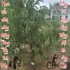 xuannguyen4680