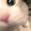 choco1attenak_