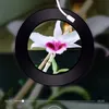 dyrxd4rjpjq7