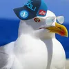 ciruzzo_89
