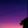 annicostaalves