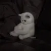anotherrazz0