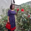 vuchinh2707