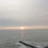 fernandamj42