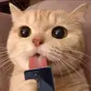 noomm878