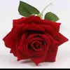 ali.kl0463