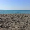 marafm_96