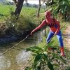 spidermania456