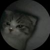 raine_sempal
