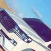 user4956338633419