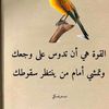 user4814179911235