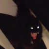 blackcat23_