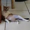 rafael_tavares_021