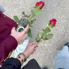 ﮼صفوᥫ᭡