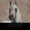 salm9112