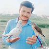 fayazalif110