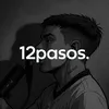 12 PASOS