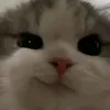 sadboymusic131
