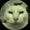 dark_yooo